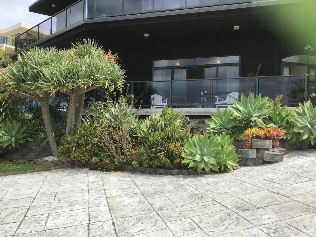 Heads Up Apartment Mangawhai Ngoại thất bức ảnh